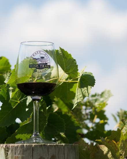 Wine glass at a vineyard