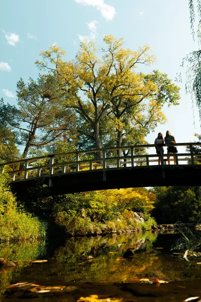 Anderson Japanese Gardens