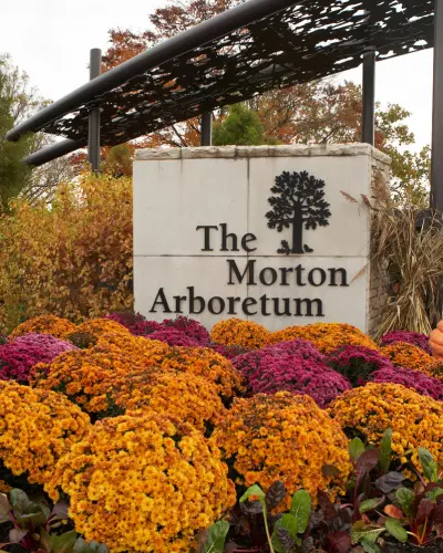 A garden and sign