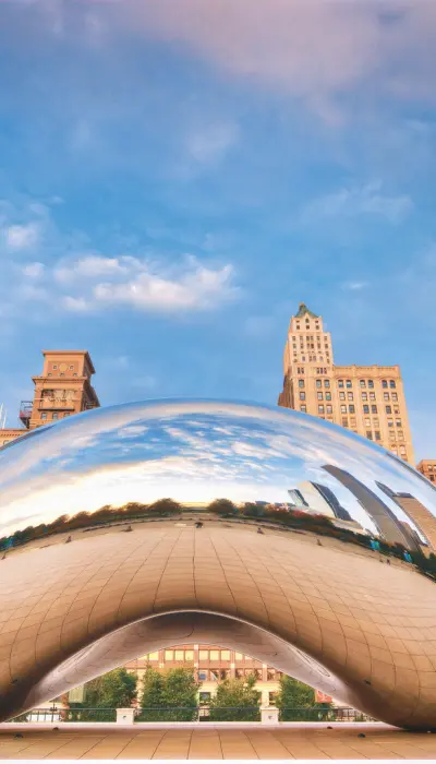 The Bean
