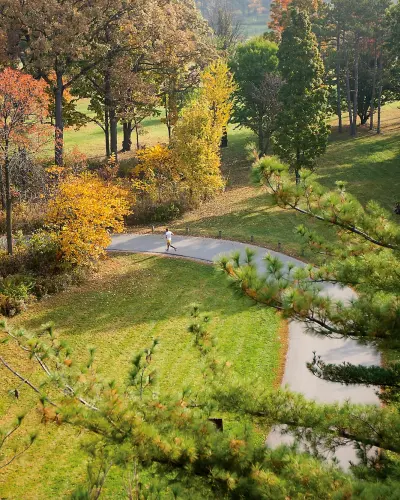 A person runs through the Morton Arboretum during fall